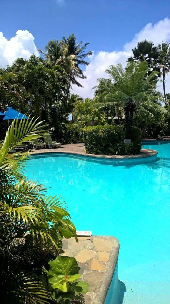 Young Island Resort Calliaqua Ngoại thất bức ảnh
